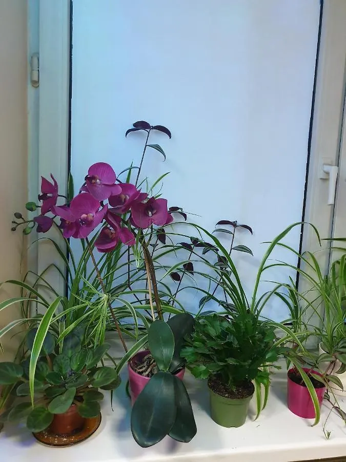 Hostel Poplawok Varsovia